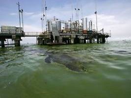 reserven, exporte, raffinerien: warum venezuelas Ölindustrie trumps begehrlichkeiten weckt